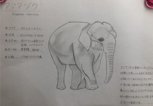 美学造形美術の授業で動物の絵を描いたよ トリマー専門学校なら東京で技術と心のバランスを磨けるfdg