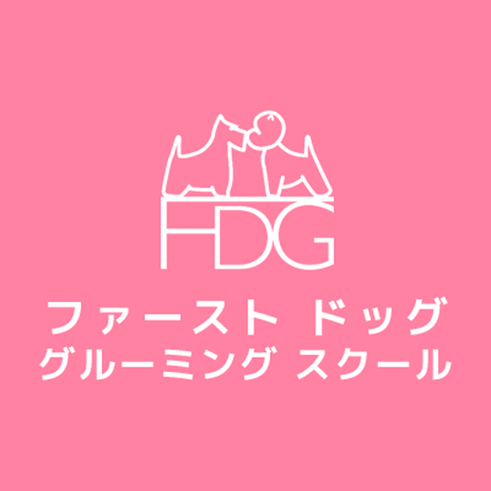 画像1541：ルンバちゃん