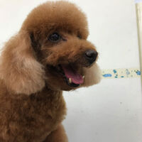 画像1580：フジコちゃん