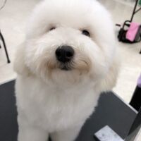 画像1670：フジコちゃん