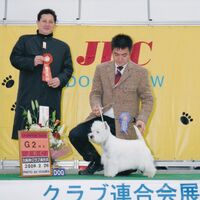 画像1678：フジコちゃん