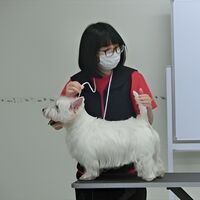 画像1708：フジコちゃん