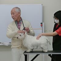 画像1709：フジコちゃん
