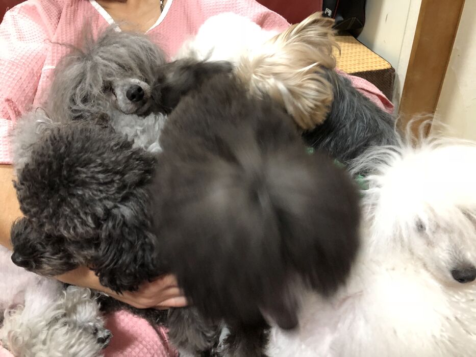 ブログ画像