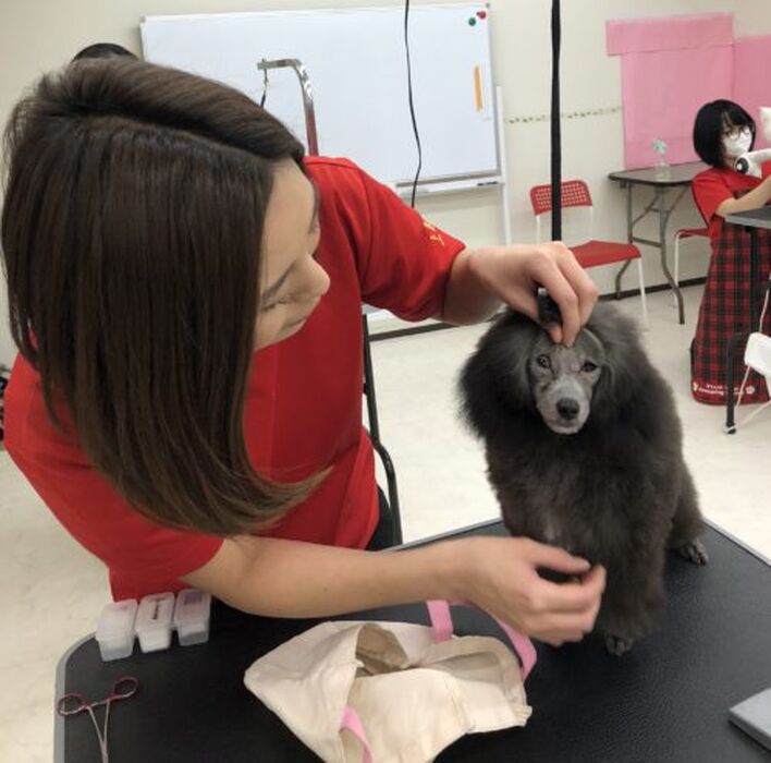 ブログ画像
