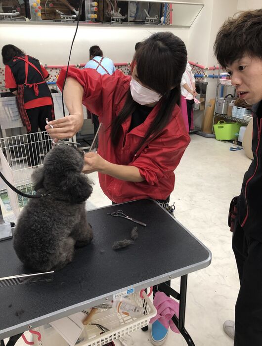 ブログ画像