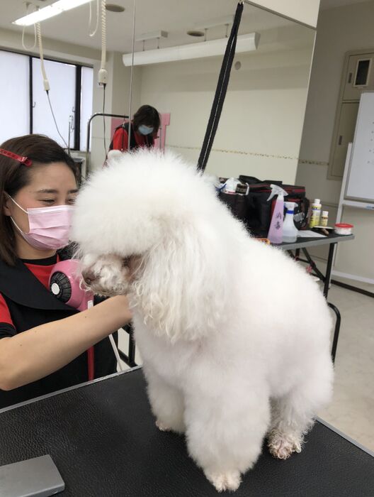 ブログ画像