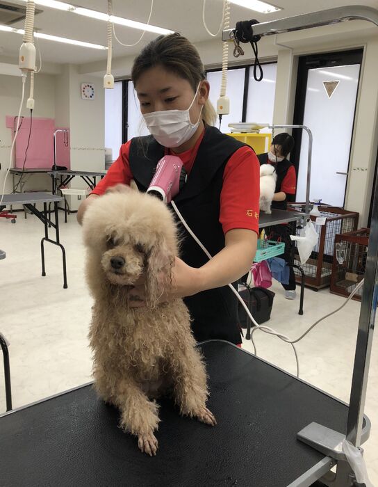 ブログ画像
