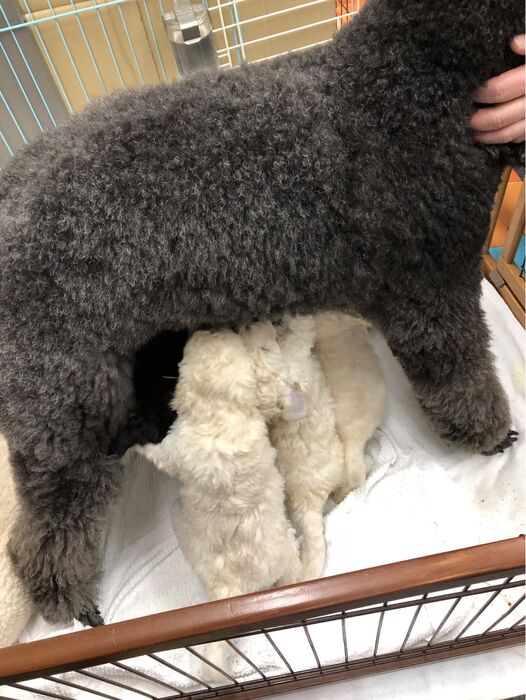 ブログ画像