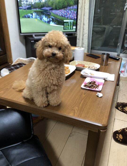 ブログ画像