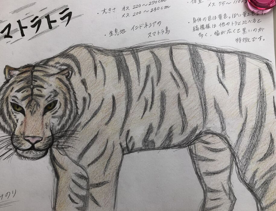 ブログ画像