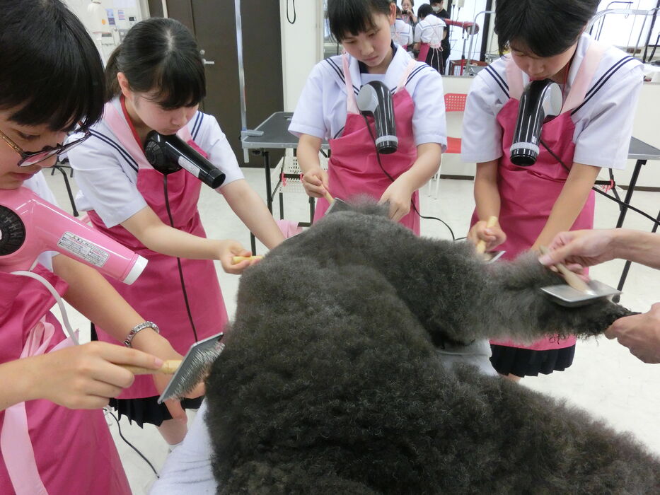 ブログ画像