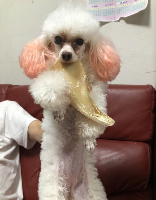 ブログ画像