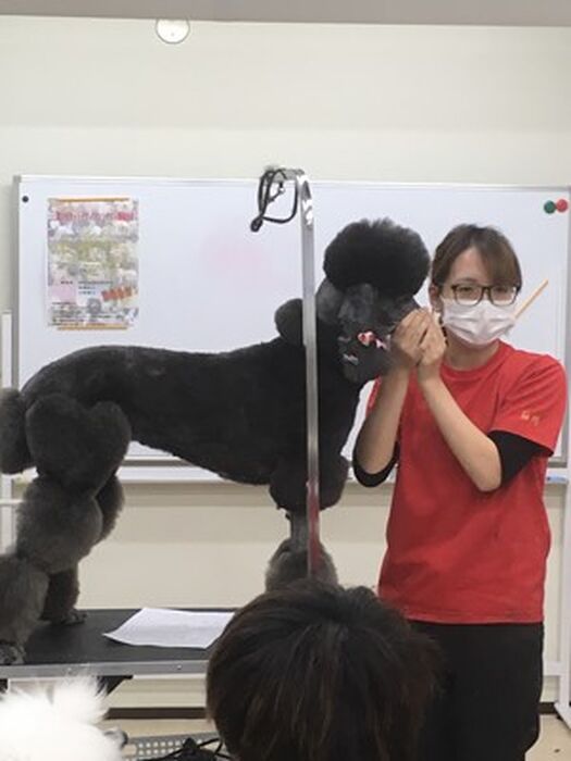 ブログ画像