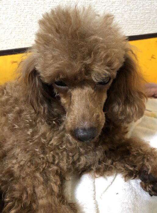 ブログ画像