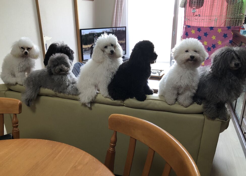 ブログ画像