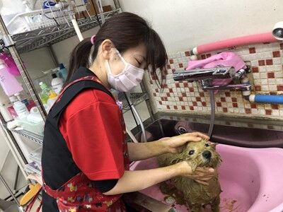 s-img_2802