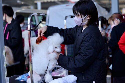 img-8339