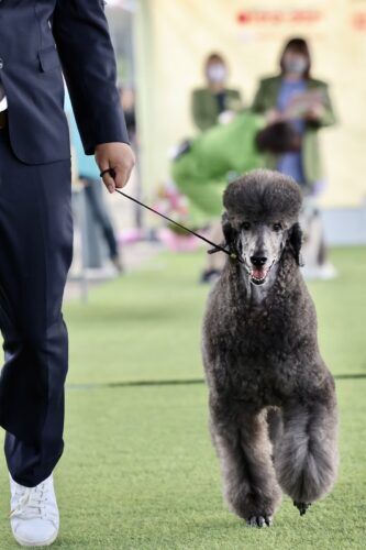 img-8453